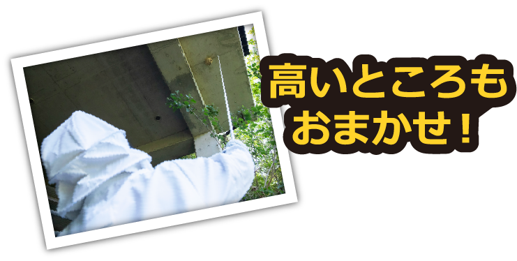高いところもおまかせ!